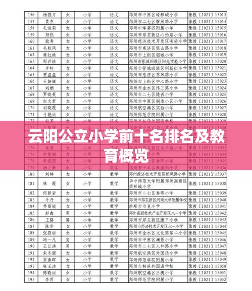 云阳公立小学前十名排名及教育概览