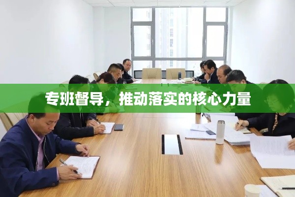 专班督导，推动落实的核心力量