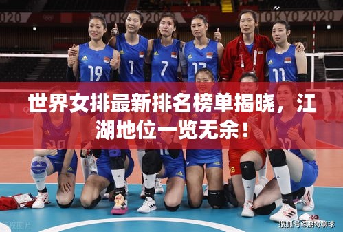 世界女排最新排名榜单揭晓，江湖地位一览无余！