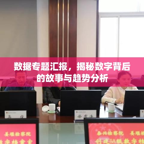 数据专题汇报，揭秘数字背后的故事与趋势分析
