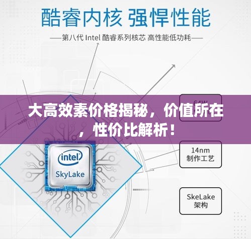 大高效素价格揭秘，价值所在，性价比解析！