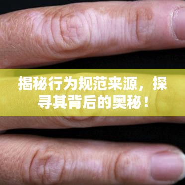 揭秘行为规范来源，探寻其背后的奥秘！