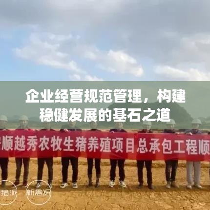 企业经营规范管理，构建稳健发展的基石之道