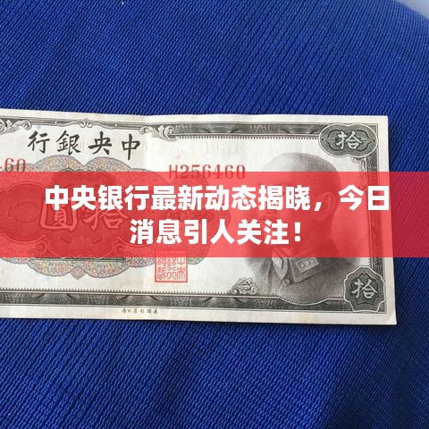 中央银行最新动态揭晓，今日消息引人关注！