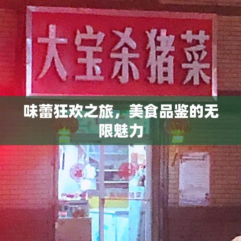 味蕾狂欢之旅，美食品鉴的无限魅力