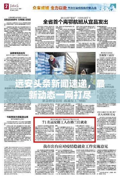 远安头条新闻速递，最新动态一网打尽
