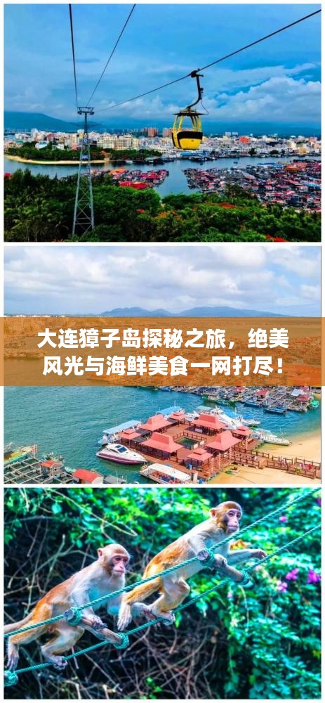 大连獐子岛探秘之旅，绝美风光与海鲜美食一网打尽！