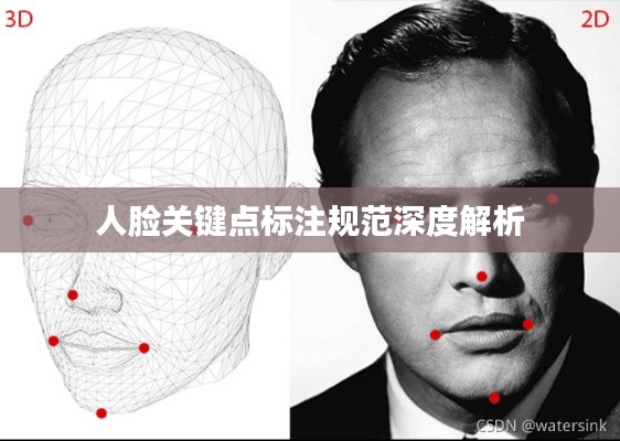 人脸关键点标注规范深度解析