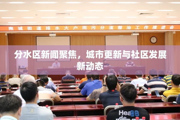 分水区新闻聚焦，城市更新与社区发展新动态