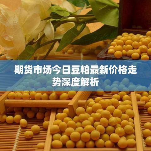 期货市场今日豆粕最新价格走势深度解析