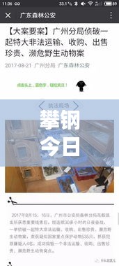 攀钢今日新闻快报，最新动态一网打尽