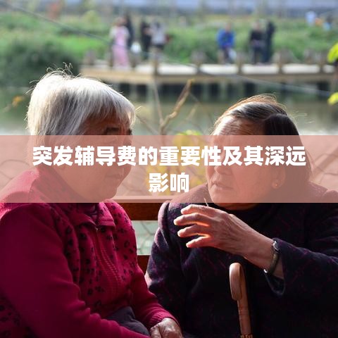 突发辅导费的重要性及其深远影响
