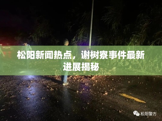 松阳新闻热点，谢树寮事件最新进展揭秘
