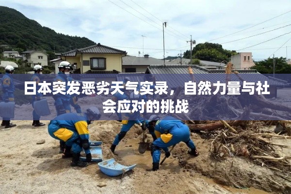 日本突发恶劣天气实录，自然力量与社会应对的挑战