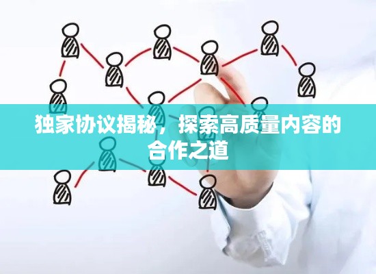 独家协议揭秘，探索高质量内容的合作之道