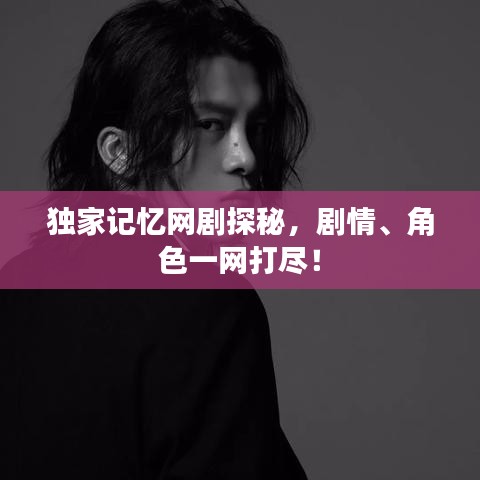 独家记忆网剧探秘，剧情、角色一网打尽！