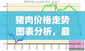 猪肉价格走势图表分析，最新报告揭示涨幅惊人