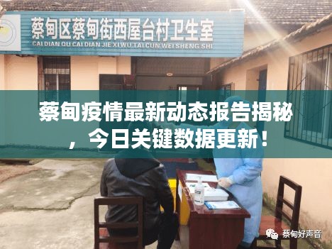 蔡甸疫情最新动态报告揭秘，今日关键数据更新！
