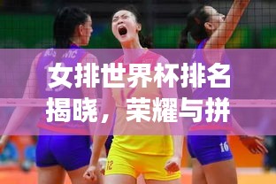女排世界杯排名揭晓，荣耀与拼搏的赛场见证