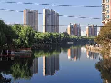 雷锋站长独家心水九肖18码：揭秘背后的数据分析与预测技巧