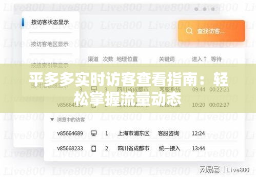 平多多实时访客查看指南：轻松掌握流量动态