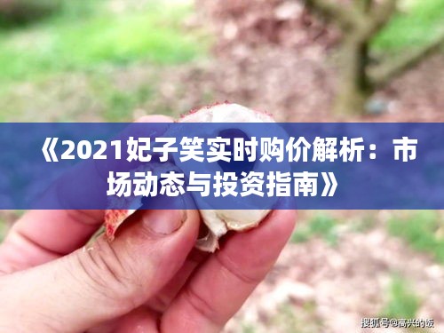 《2021妃子笑实时购价解析：市场动态与投资指南》