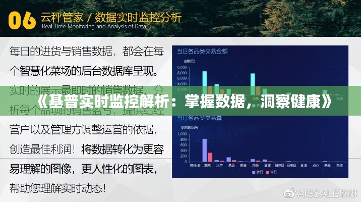 《基普实时监控解析：掌握数据，洞察健康》