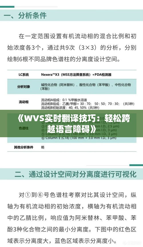 《WVS实时翻译技巧：轻松跨越语言障碍》