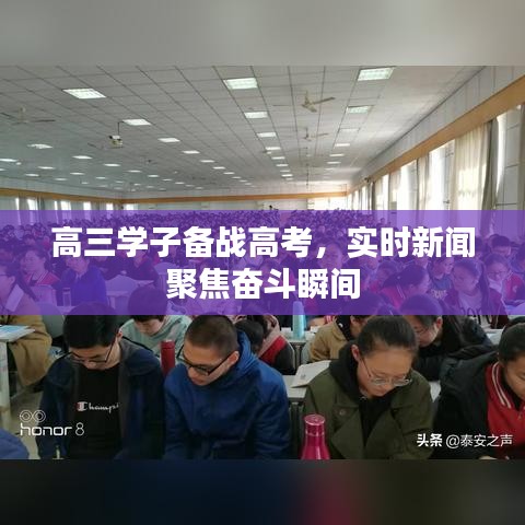 高三学子备战高考，实时新闻聚焦奋斗瞬间