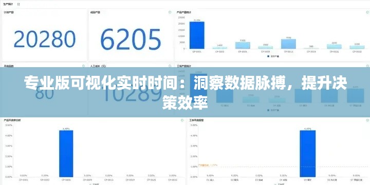 专业版可视化实时时间：洞察数据脉搏，提升决策效率