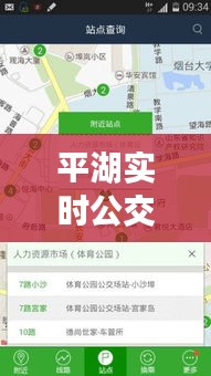 平湖实时公交APP下载攻略：出行更便捷，生活更轻松