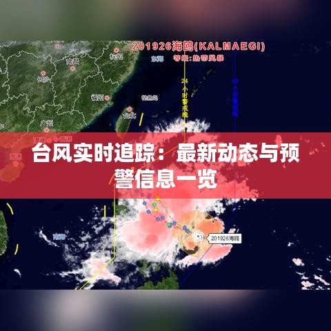 台风实时追踪：最新动态与预警信息一览