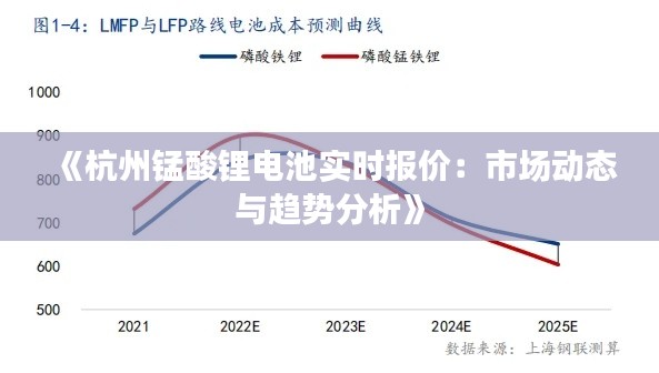 《杭州锰酸锂电池实时报价：市场动态与趋势分析》
