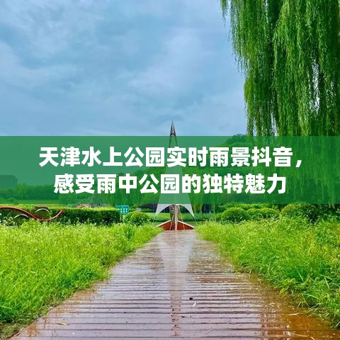 天津水上公园实时雨景抖音，感受雨中公园的独特魅力