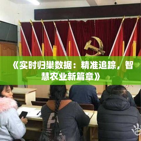 《实时归巢数据：精准追踪，智慧农业新篇章》