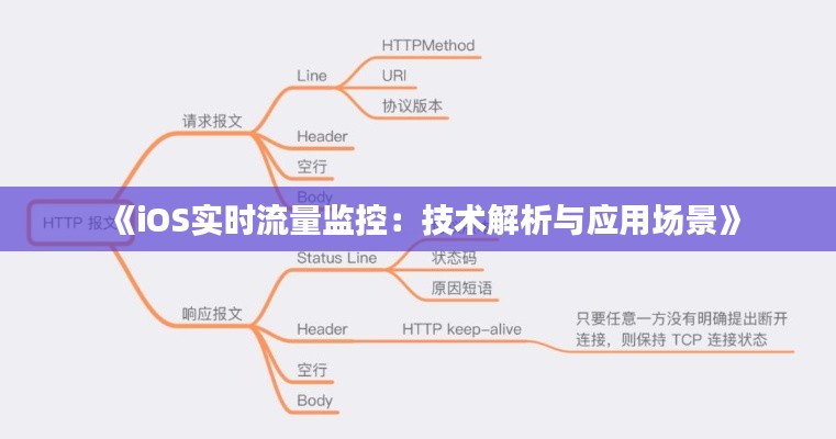 《iOS实时流量监控：技术解析与应用场景》