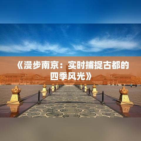 解决方案 第39页