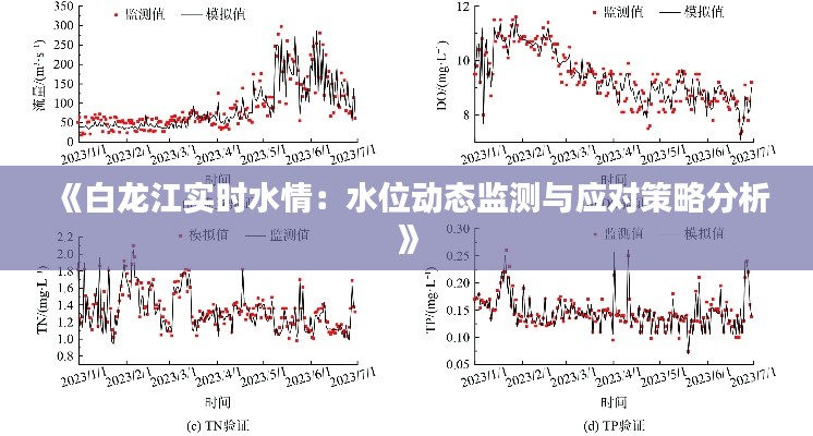 《白龙江实时水情：水位动态监测与应对策略分析》