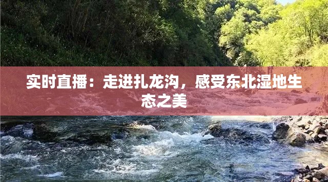 实时直播：走进扎龙沟，感受东北湿地生态之美