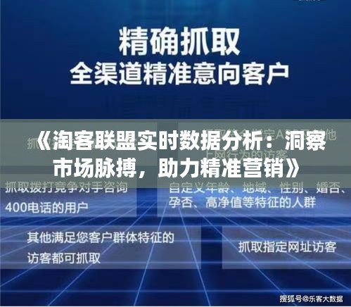 《淘客联盟实时数据分析：洞察市场脉搏，助力精准营销》