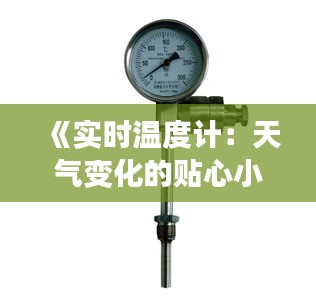 《实时温度计：天气变化的贴心小助手》