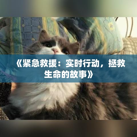 《紧急救援：实时行动，拯救生命的故事》