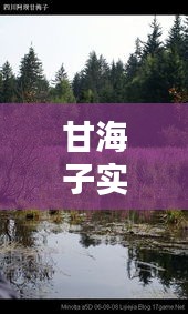 甘海子实时情况：今日风光与动态全解析