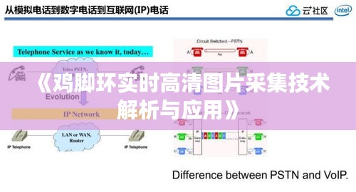 《鸡脚环实时高清图片采集技术解析与应用》