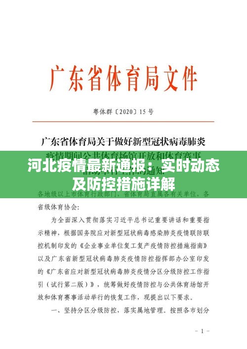 河北疫情最新通报：实时动态及防控措施详解