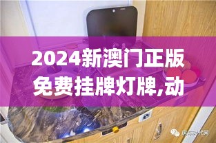 2024新澳门正版免费挂牌灯牌,动态调整策略执行_尊享版7.685