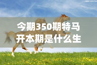 今期350期特马开本期是什么生肖：探索本期特马开奖背后的故事