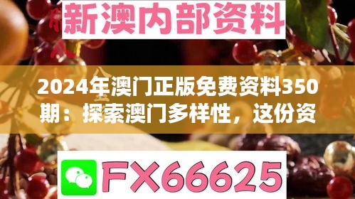 2024年澳门正版免费资料350期：探索澳门多样性，这份资料是关键