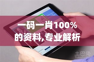 一码一肖100%的资料,专业解析说明_iPad3.771