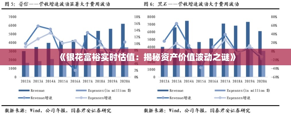 《银花富裕实时估值：揭秘资产价值波动之谜》